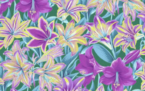 Kaffe Fassett Collective  February 2022 - Amaryllis - PWPJ104 - Multi