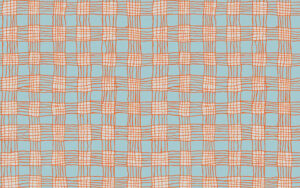 Kaffe Fassett Collective  - Gingham - PWBM089 - Grey