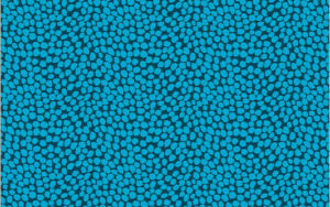 West Palm Beach by Jennifer Paganelli - Beau in Dark Teal 54051-9