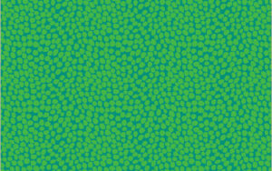 West Palm Beach by Jennifer Paganelli - Beau in Green 54051-15