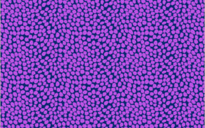 West Palm Beach by Jennifer Paganelli - Beau in Purple 54051-13