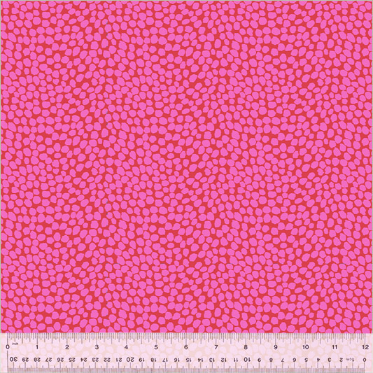 West Palm Beach by Jennifer Paganelli - Beau in Hot Pink 54051-10
