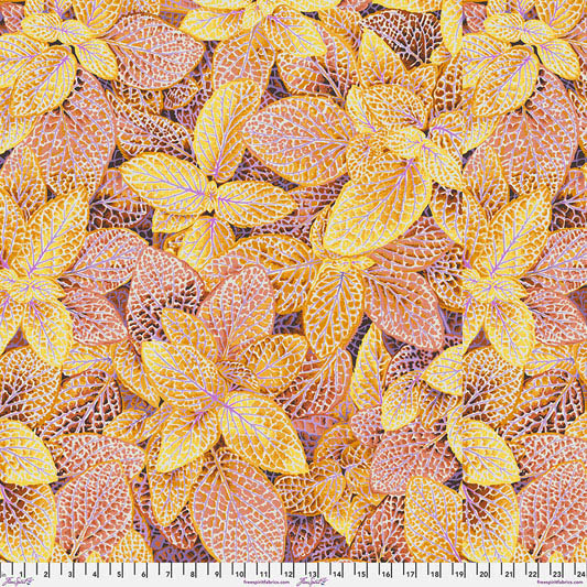 Kaffe Fassett August 2024 - Fittonia - PWPJ129 Gold