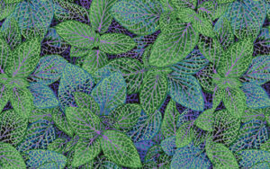 Kaffe Fassett August 2024 - Fittonia - PWPJ129 Green